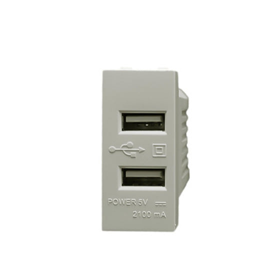 Ivory USB Charger 2 Gang QVQ