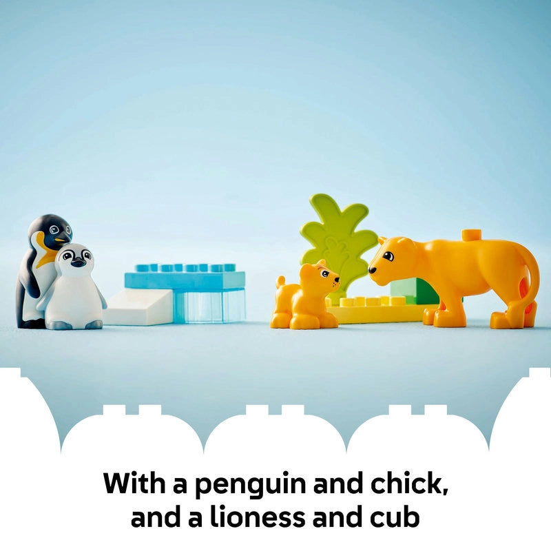 LEGO DUPLO حيوانات برية 10442 بطاريق وأسود