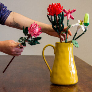 Sluban Pleyerid Flowers Protea Building Blocks Set – 219pcs