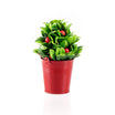 Nathan Potted Flower - Madame Coco JO