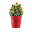 Rosalie Potted Flower - Madame Coco JO