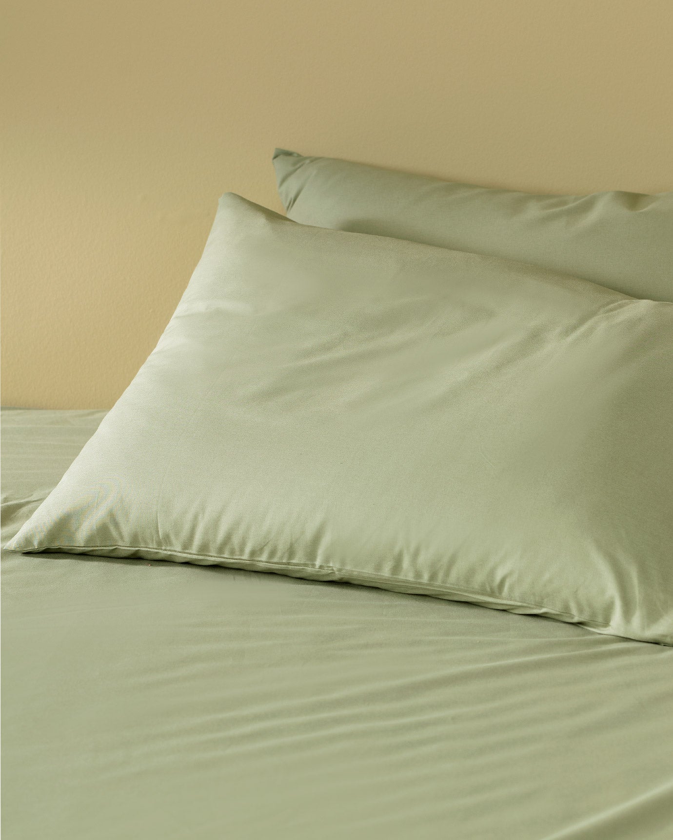 Manon Sıngle Size Ranforce Fitted Sheet Set - Madame Coco JO