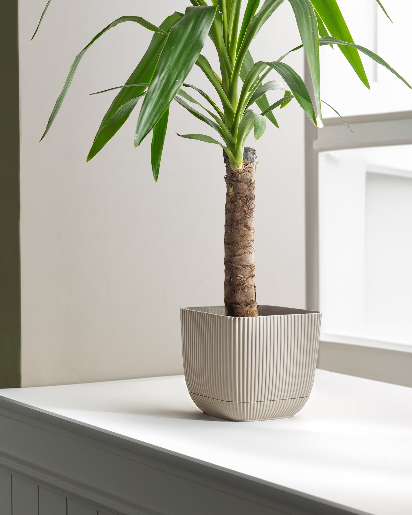Abella Flower Pot 1800 Ml - Madame Coco JO