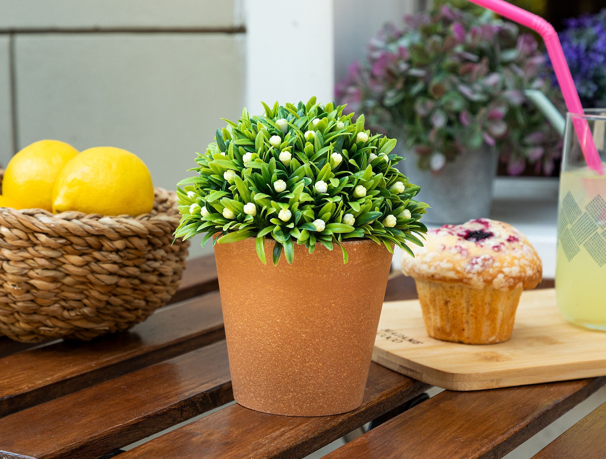 Minette Potted Flower - Madame Coco JO