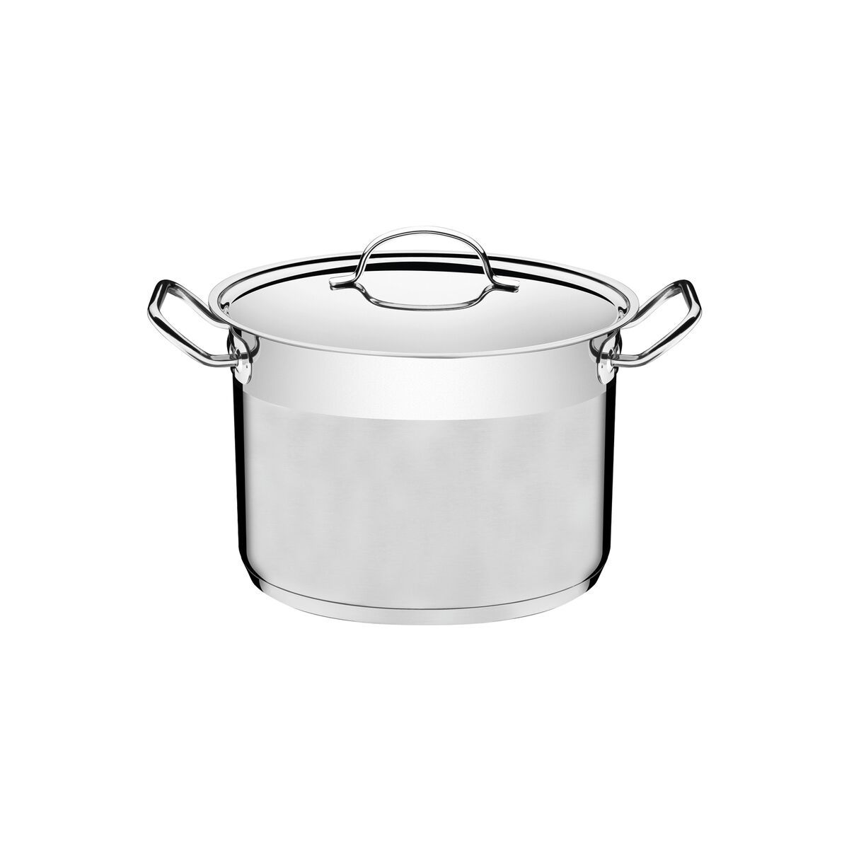 Tramontina Professional Stainless Steel Pot with Lid