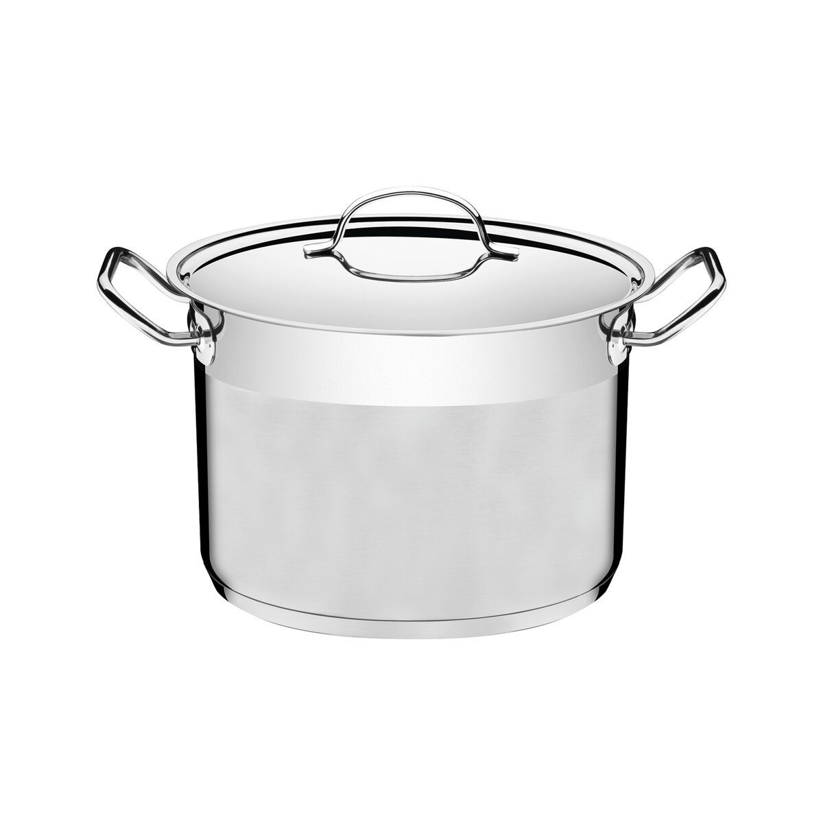 Tramontina Professional Stainless Steel Pot with Lid