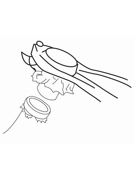 فتاحة زجاجات من Ibili – عملية وأنيقة