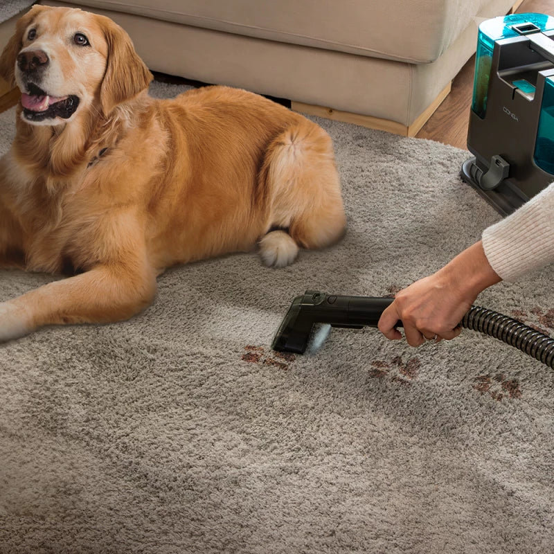 منظف مفروشات Cecotec Conga 3000 CarpetClean