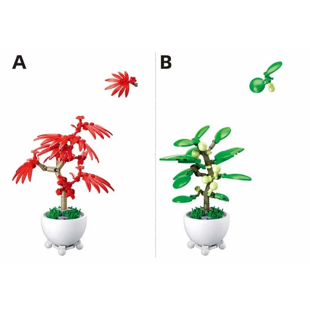 سلوبان نباتات بليريد في أصص – صندوق عرض 6 في 1