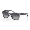 DANIEL KLEIN MEN SUNGLASSES DK4320-4