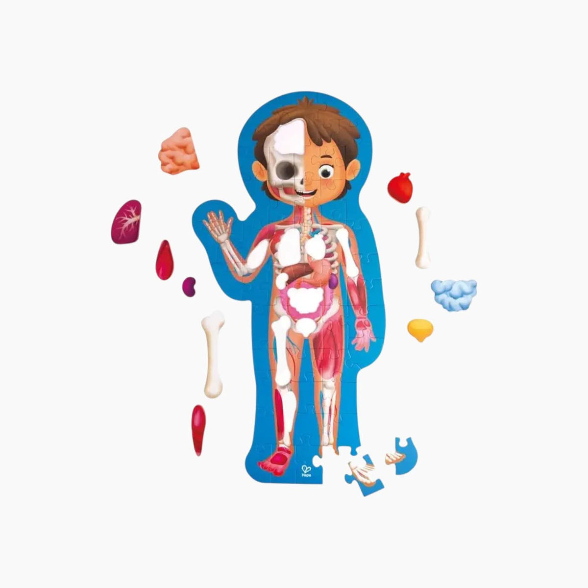 Hape Human Body Puzzle