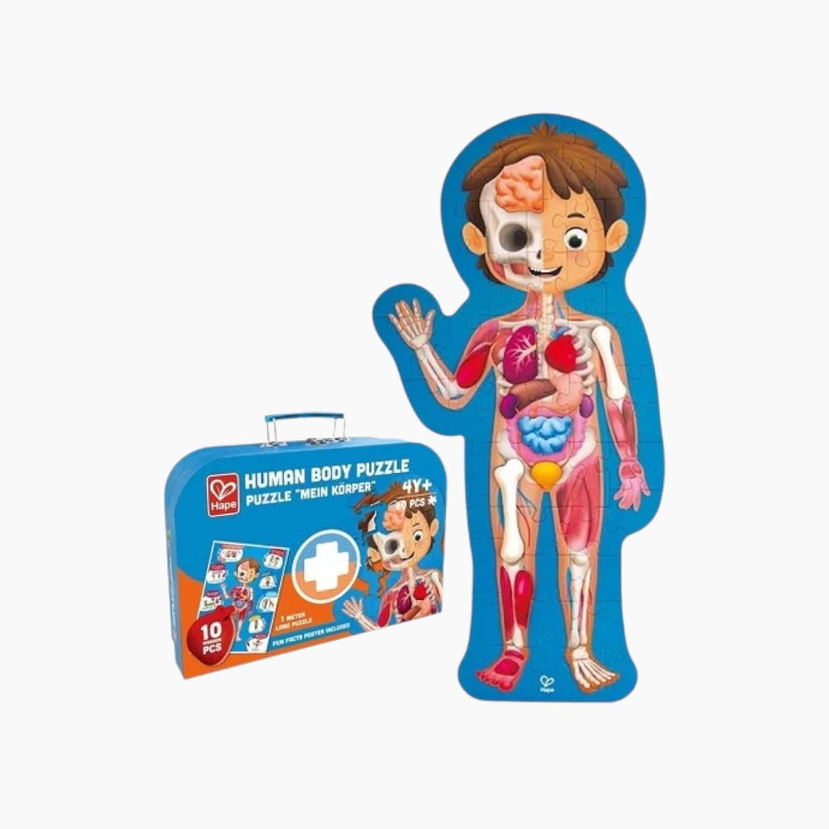 Hape Human Body Puzzle