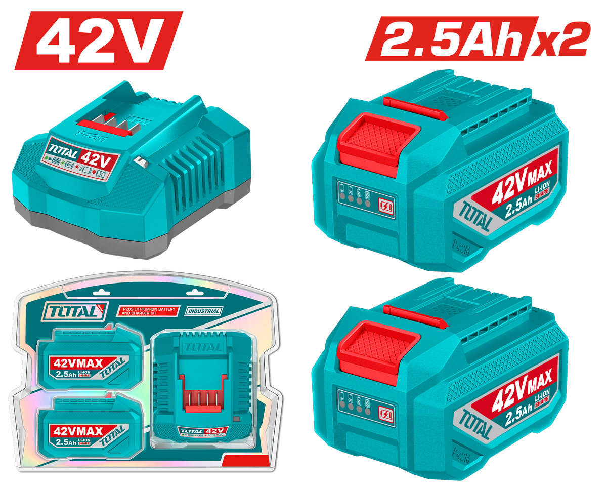TOTAL Lithium-Ion Battery & Charger Kit – 42V, Includes 2× 2.5Ah Batteries - P42M Series (TFBCPM25221)
