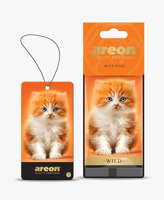AREON Perfume Hang Orange Cat Shape