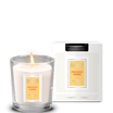 AREON Moon Line Scented Candle, Precious Amber