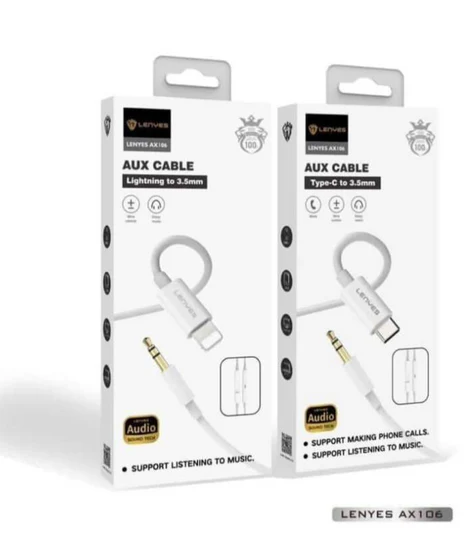 Lenyes AX106 Type-C to 3.5mm Audio Cable – Hi-Fi Quality