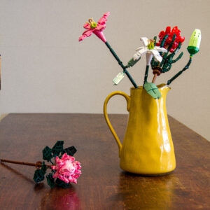 Sluban Pleyerid Flowers Protea Building Blocks Set – 219pcs