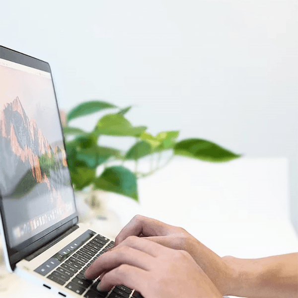 حامل كمبيوتر محمول قابل للتعديل Wiwu S400 - فضي