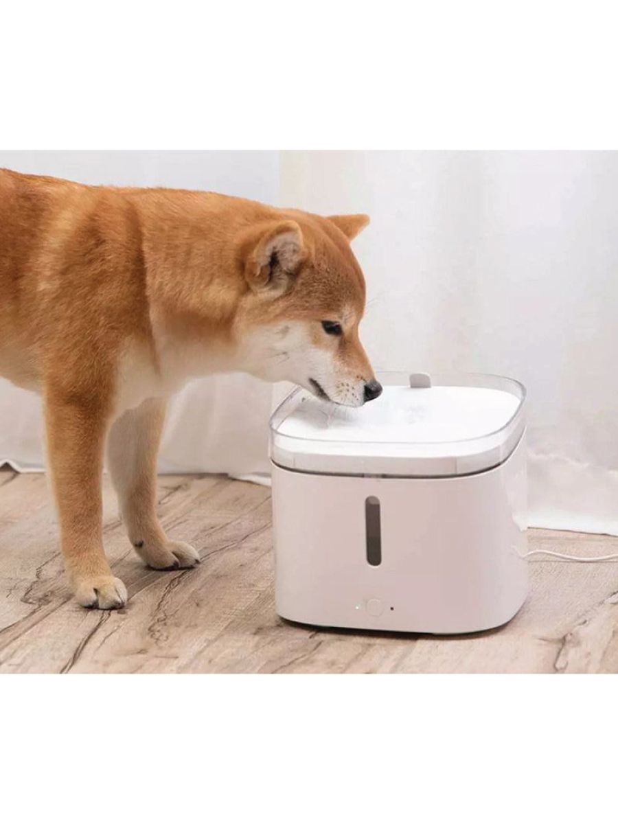 Mi Smart Pet Water Dispenser - JoCell جوسيل