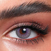 Bella lenses Lavender Gray