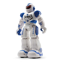 The Source Motion Robot Your Smart and Interactive Robotic Friend