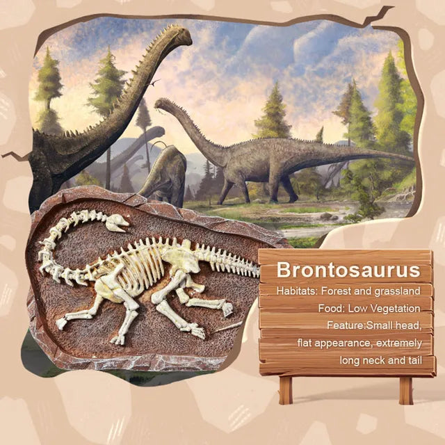 Mideer - Steam Game Revive Brontosaurus – Age 6+ Mideer - Steam Game Revive Brontosaurus – Age 6+
