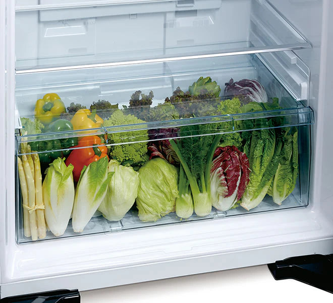 Hitachi 450L Inverter Two-Door Refrigerator with Surround Air Cooling