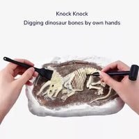 Mideer MD0178 Steam Game Revive Triceratops for Kids