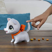 Hasbro Furreal Poopalots Lil' Wags- Cat