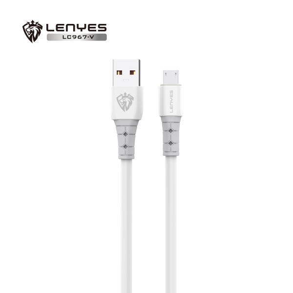 LENYES Charging Cable
