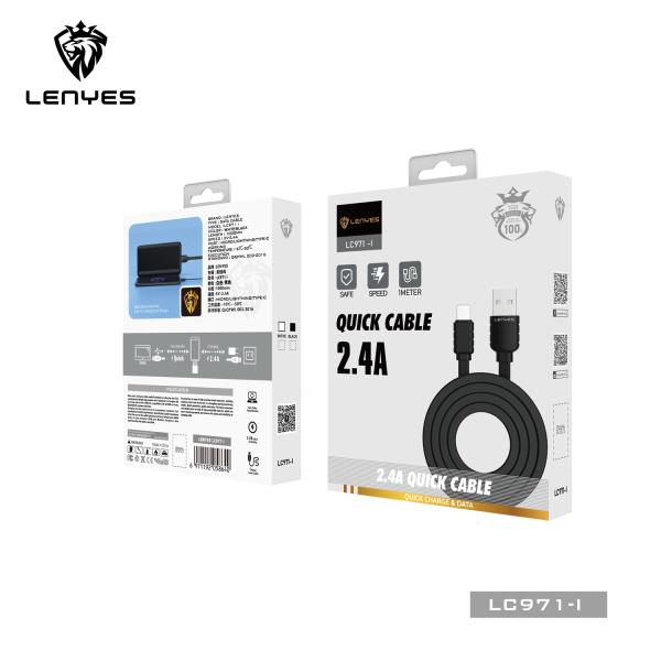 LENYES Cable PD 60W 1m LENYES Cable PD 60W 1m