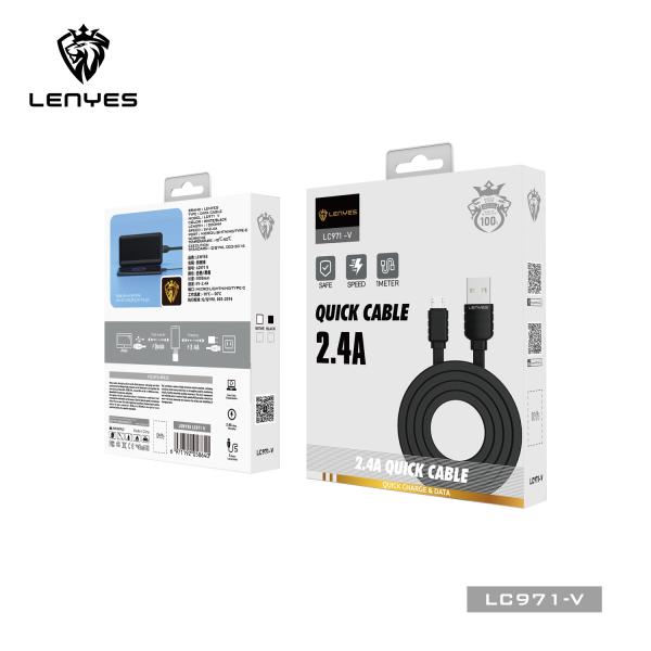 LENYES Cable PD 60W 1m LENYES Cable PD 60W 1m