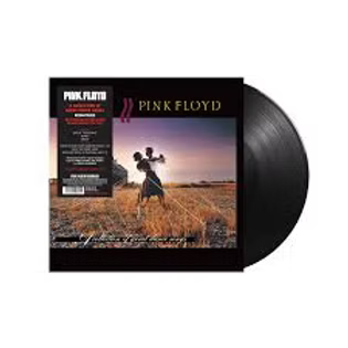 Pink Floyd – A Collection Of Great Dance Songs LP Vinyl Pink Floyd – A Collection Of Great Dance Songs LP Vinyl