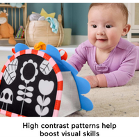 Fisher-Price 2-in-1 OTG Mirror