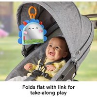 Fisher-Price 2-in-1 OTG Mirror
