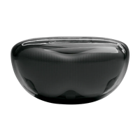 JBL Tune Flex 2 Wireless Earbuds | Adaptive Noise Cancelling