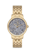 Santa Barbara Polo, Sb.1.10127.3, Women's Watch