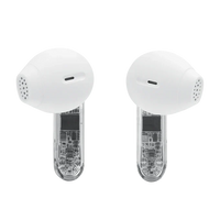 JBL Tune Flex 2 True Wireless Headphones | JBLTFLEX2G