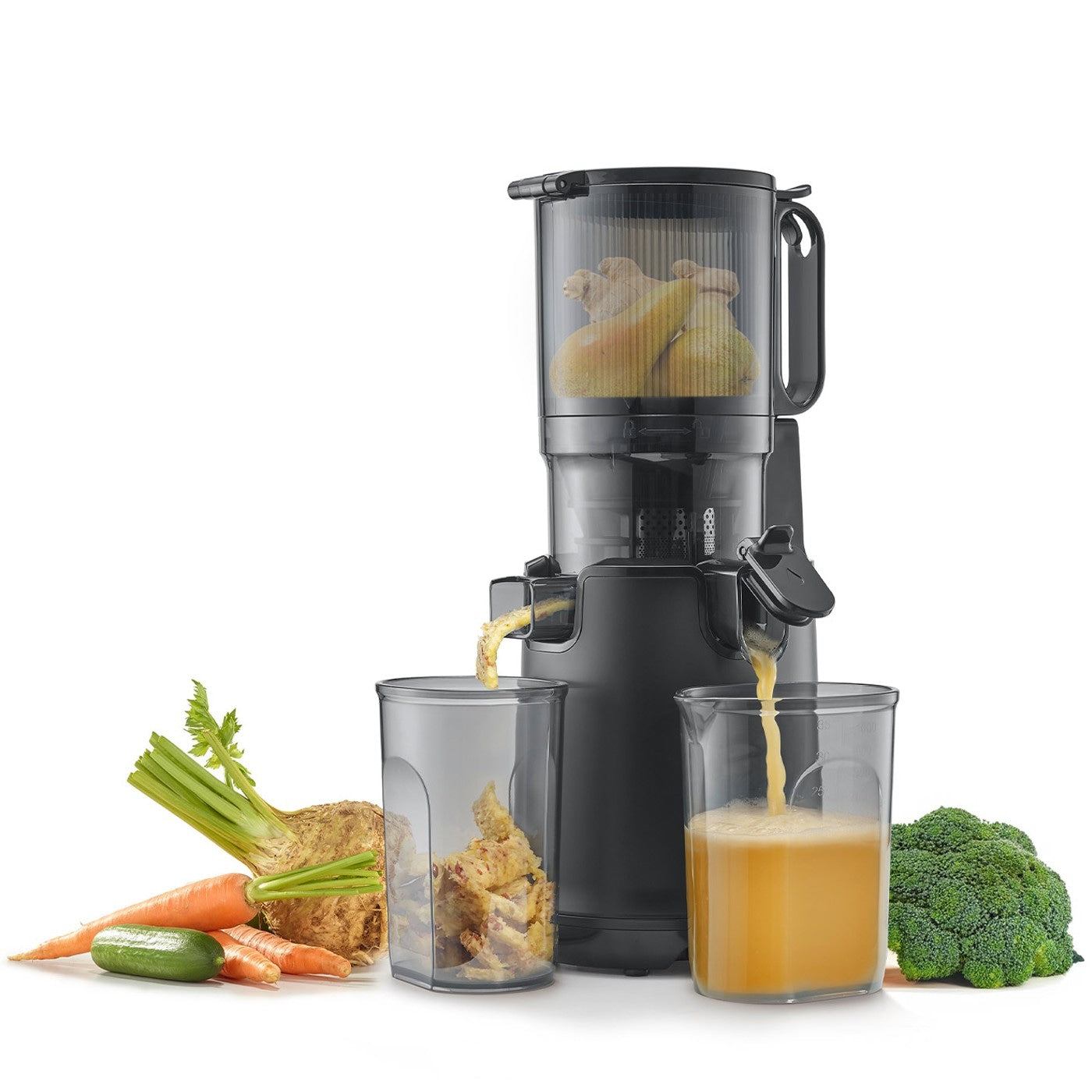 Caso Slow Juicer Xlarge 250W