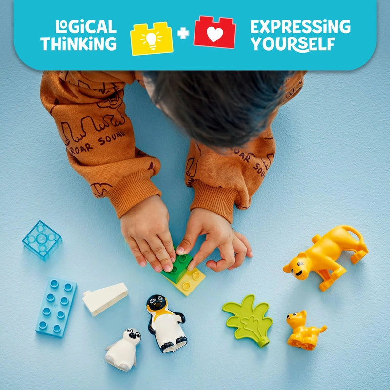 LEGO DUPLO حيوانات برية 10442 بطاريق وأسود
