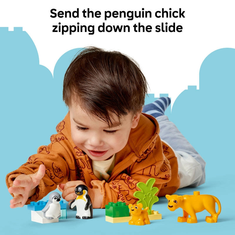 LEGO DUPLO حيوانات برية 10442 بطاريق وأسود