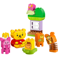 LEGO DUPLO Winnie the Pooh's Birthday Party – 22 Pieces | Set 10457