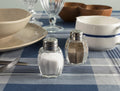 Madame Coco Trinetta Salt & Pepper Shaker Set of 2 – Curved Glass, Metal & Glass Blend & Stylish Table Storage