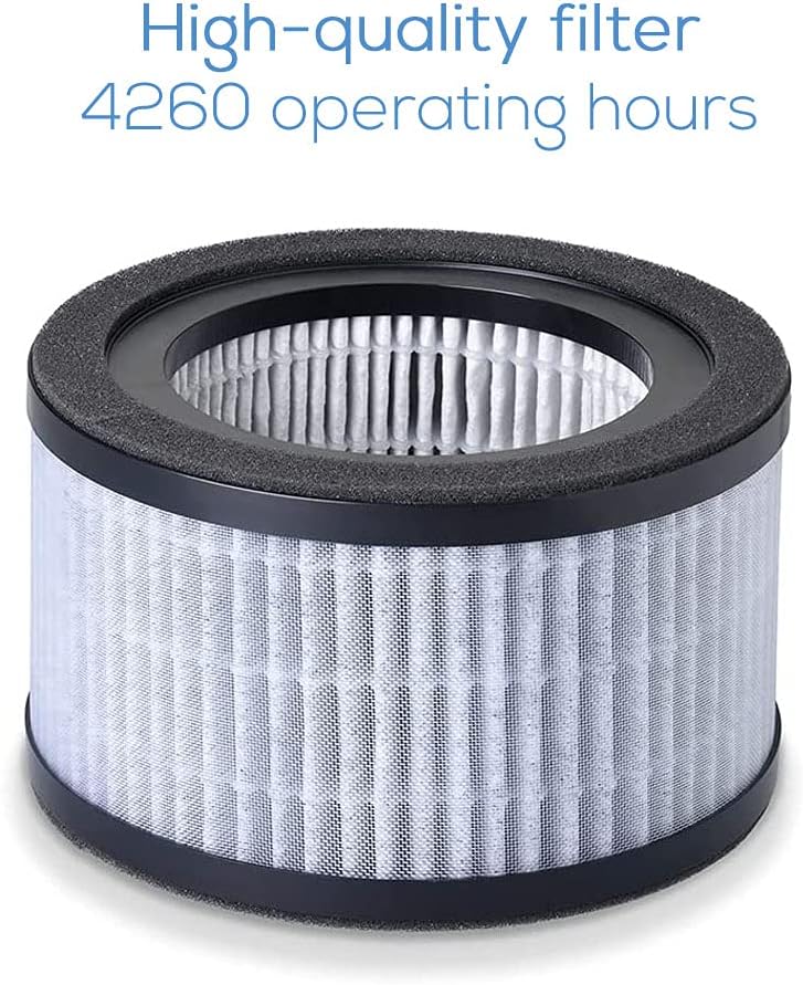 Replacement Filter for Beurer LR 220 HEPA H13 & Carbon