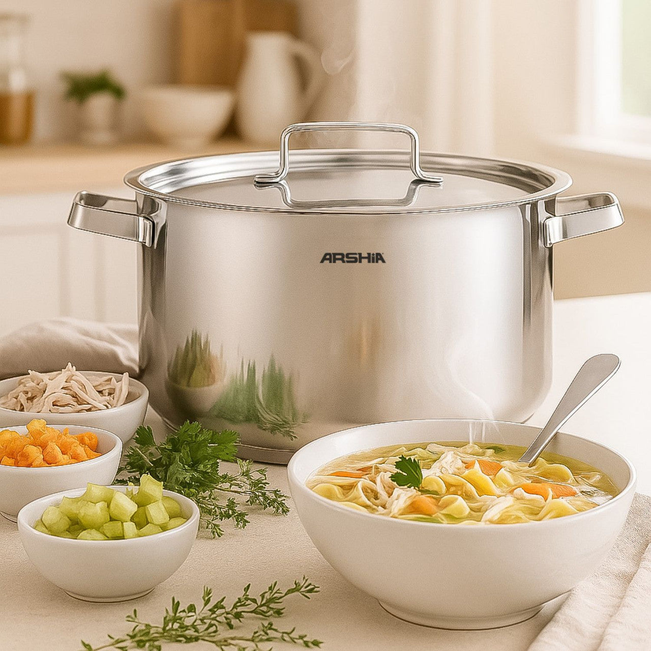 Arshia 24cm Stainless Steel Cooking Pot with Metal Lid