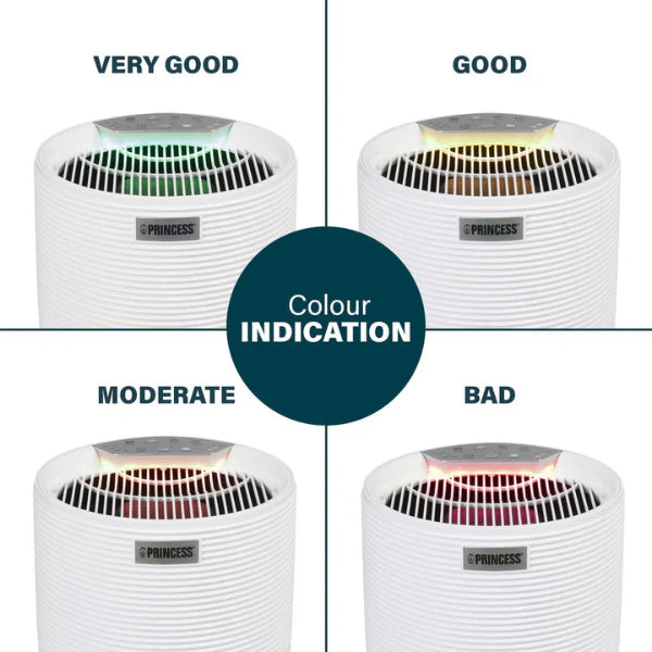 Princess Smart 160 Air Purifier - App & Voice Control with HEPA H13 Filter Princess Smart 160 Air Purifier - App & Voice Control with HEPA H13 Filter