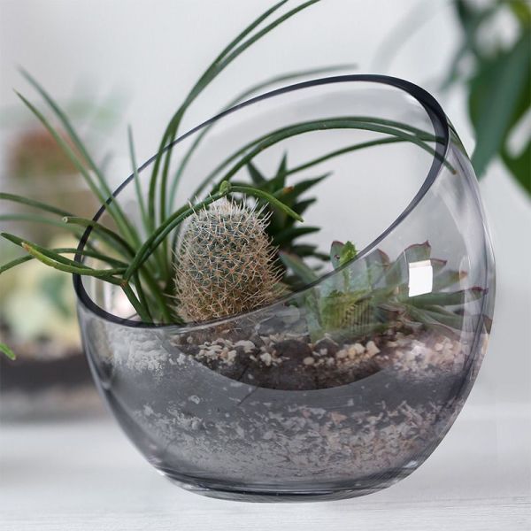 ARMN Anchor Glass Vase/Nut Bowl 14×10 cm – Elegant ARMN Anchor Glass Vase/Nut Bowl 14×10 cm – Elegant