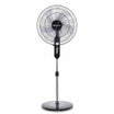Conti 18-Inch Stand Fan, 60W, 5 Blades, 4 Speeds with Timer, Black