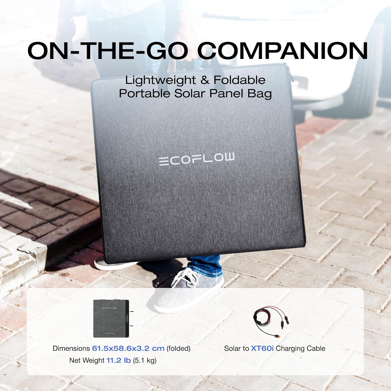 EcoFlow 160W Solar Panel (Light)
