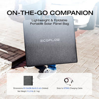 EcoFlow 160W Solar Panel (Light)